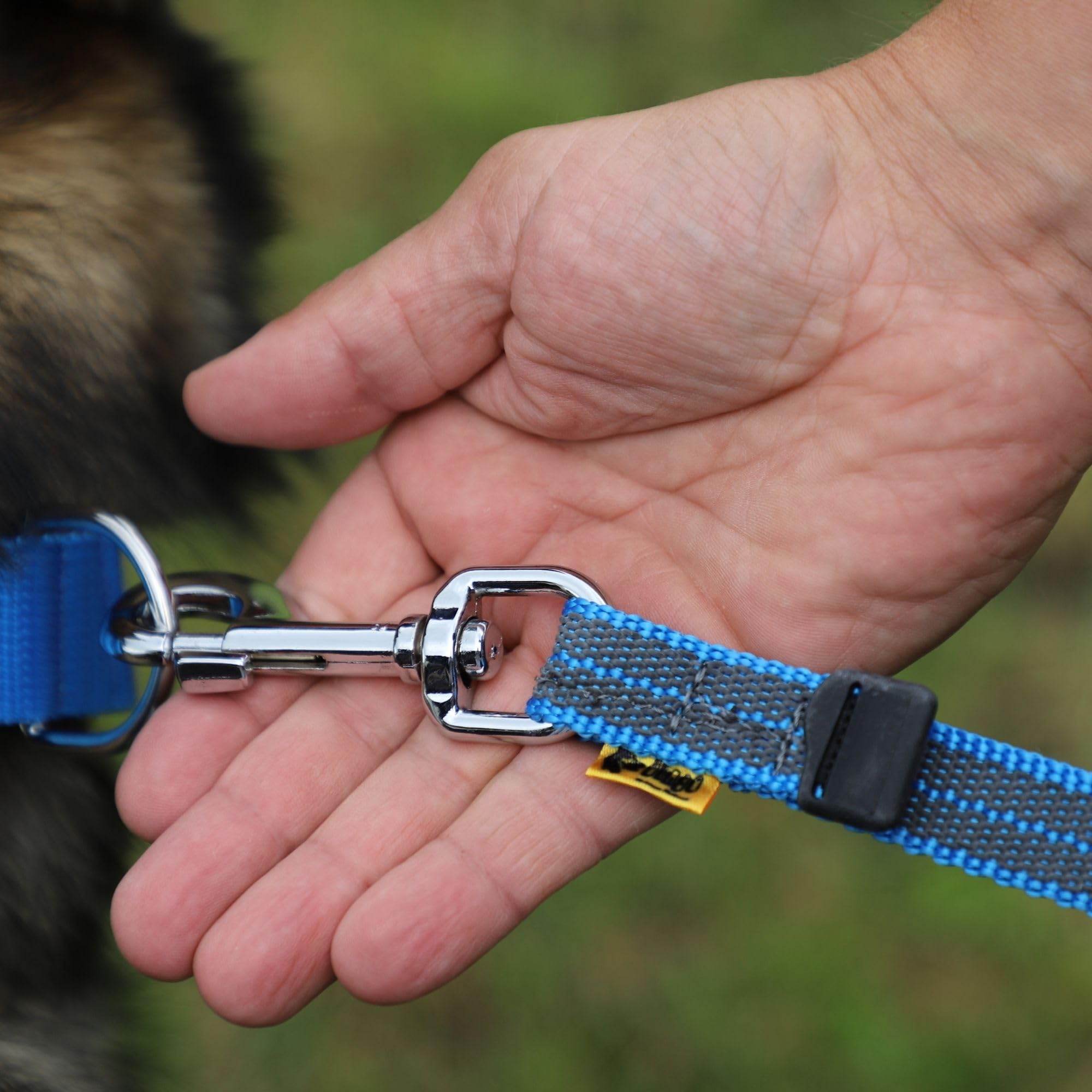 Dingo 12608 - Guinzaglio gommato senza passante, leggero e morbido, 2,0 cm x 10 m, colore: Blu