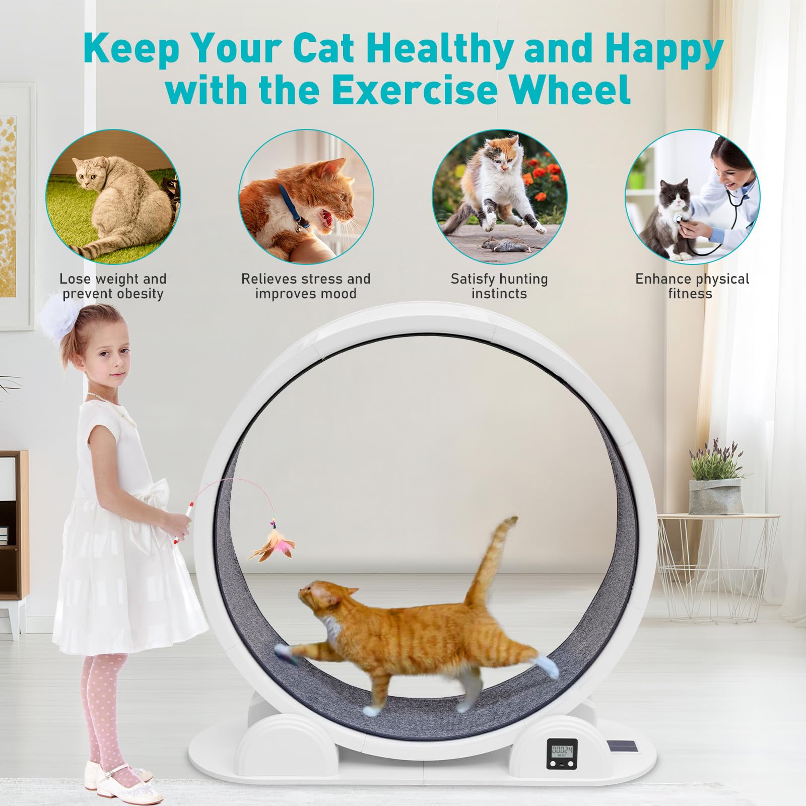 Ruota per esercizi per gatti in ABS con pedometro, montaggio a scatto senza attrezzi | Fino a 25 kg, silenzioso, sostituibile passerella in moquette