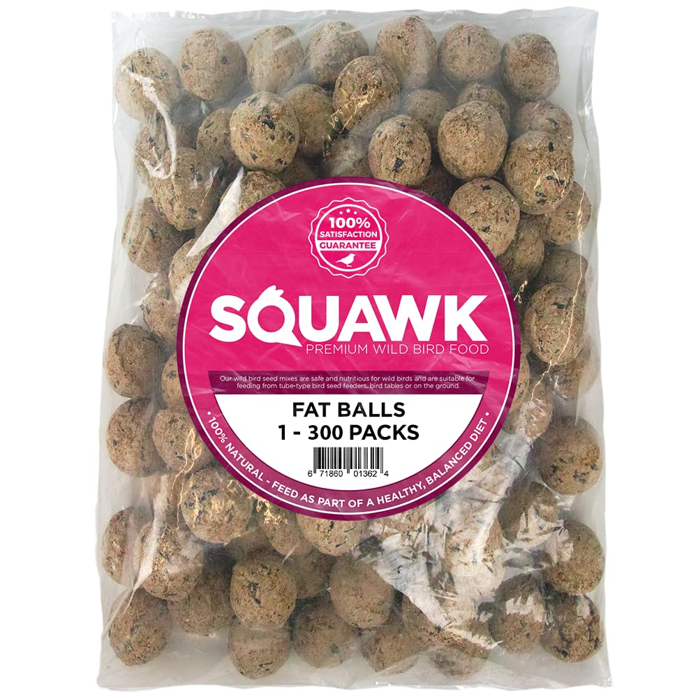SQUAWK Palline di Grasso di Suet | Cibo Premium per Uccelli Selvatici | Formula Potenziata per Tutto l'Anno | Miscela Naturale, Ricca di Energia e Proteine | Piena di Grassi Nutrienti (Confezione 300)