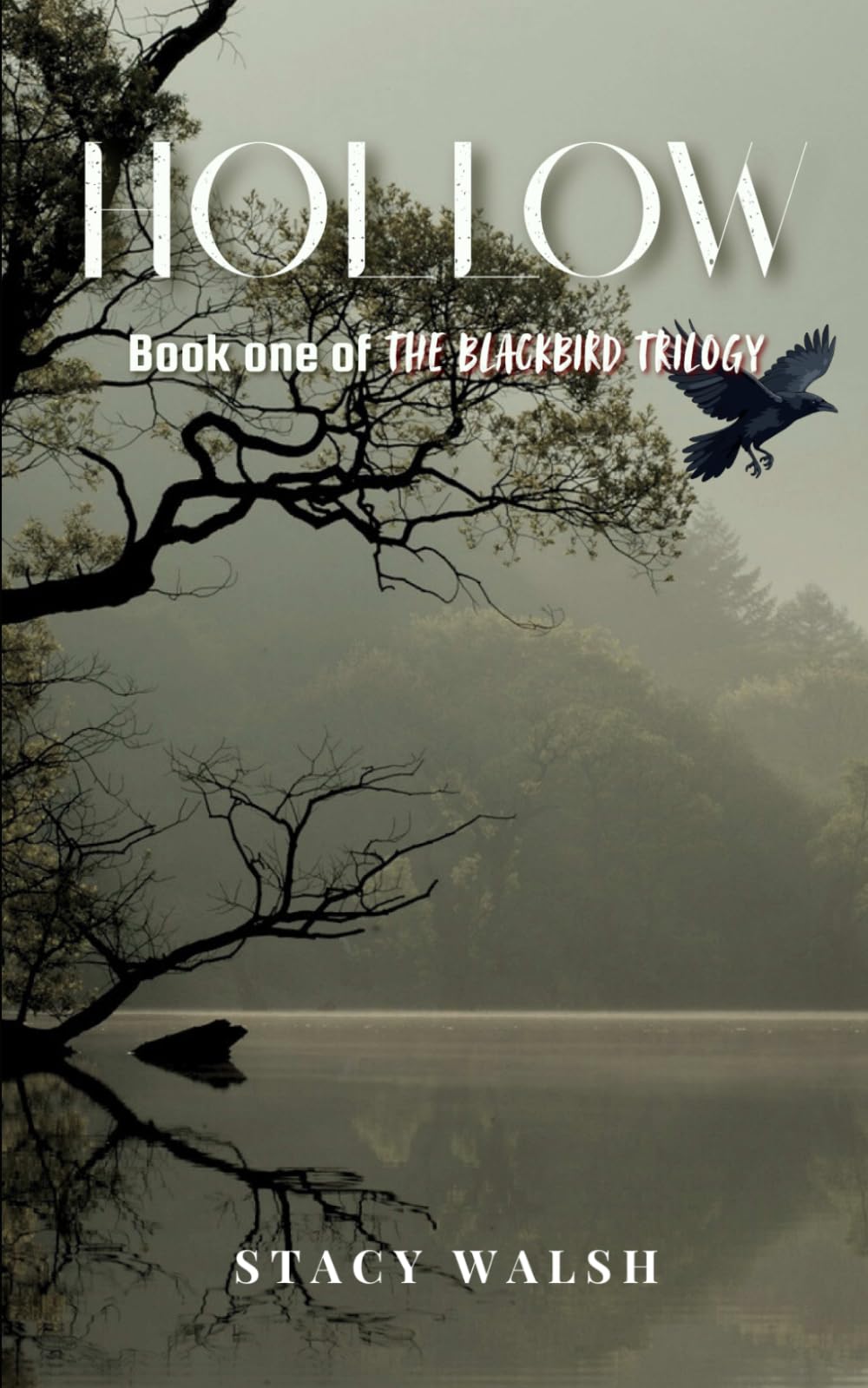 Hollow: Book 1 of The Blackbird Trilogy