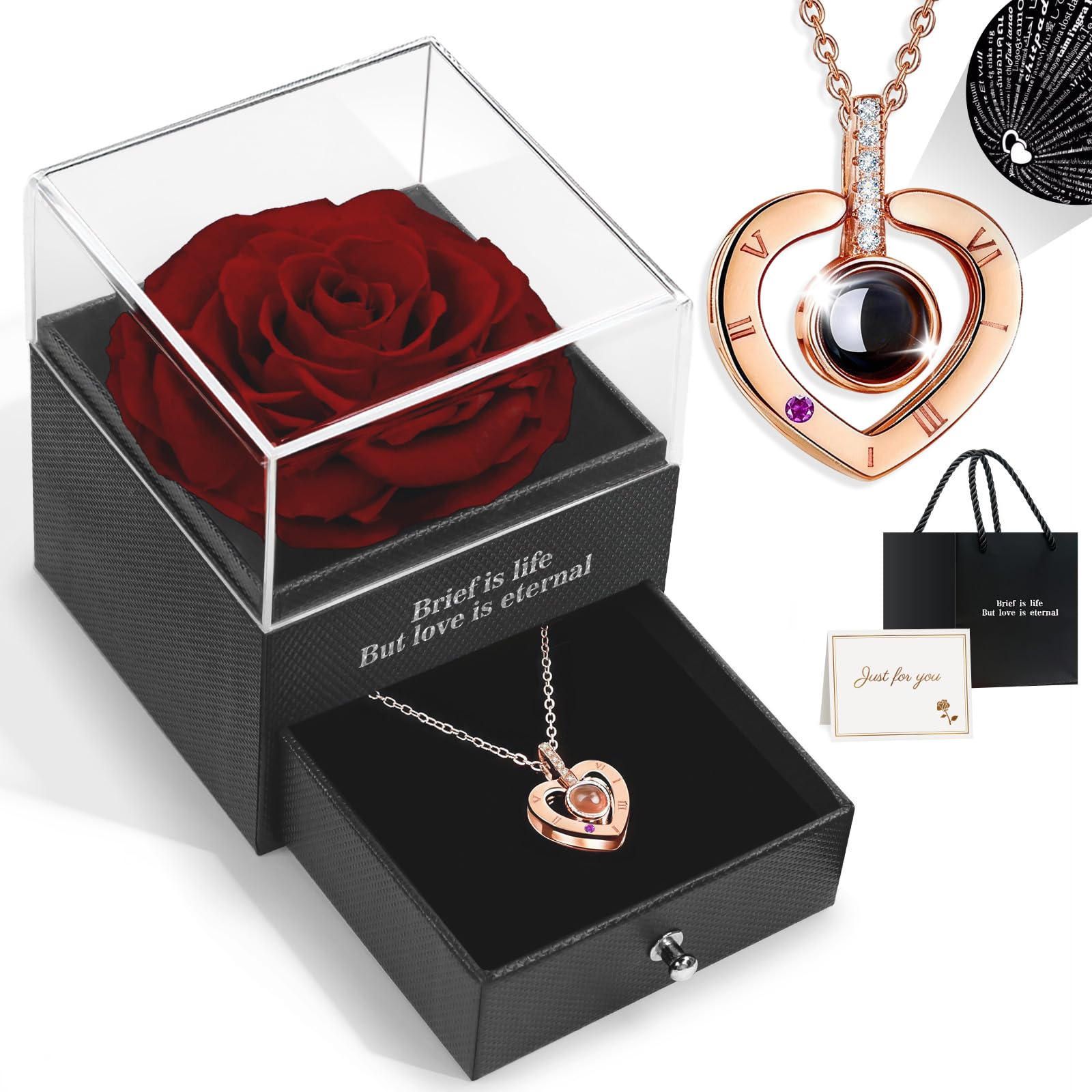 Preserved Real Rose with Love You Necklace in 100 Languages Gift