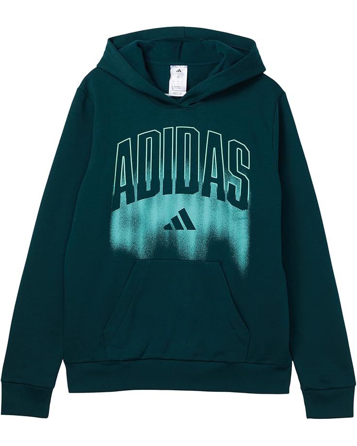 adidas Kids Graphic Fleece Hooded Pullover (Big Kid) - Main View