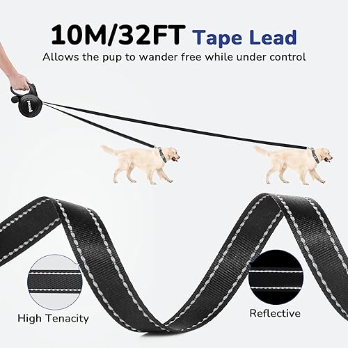 Miniatura 2 de Pecute Correa retráctil para perro de 32 pies con tiras reflectantes, control de un botón y material de nailon resistente, correa larga retráctil