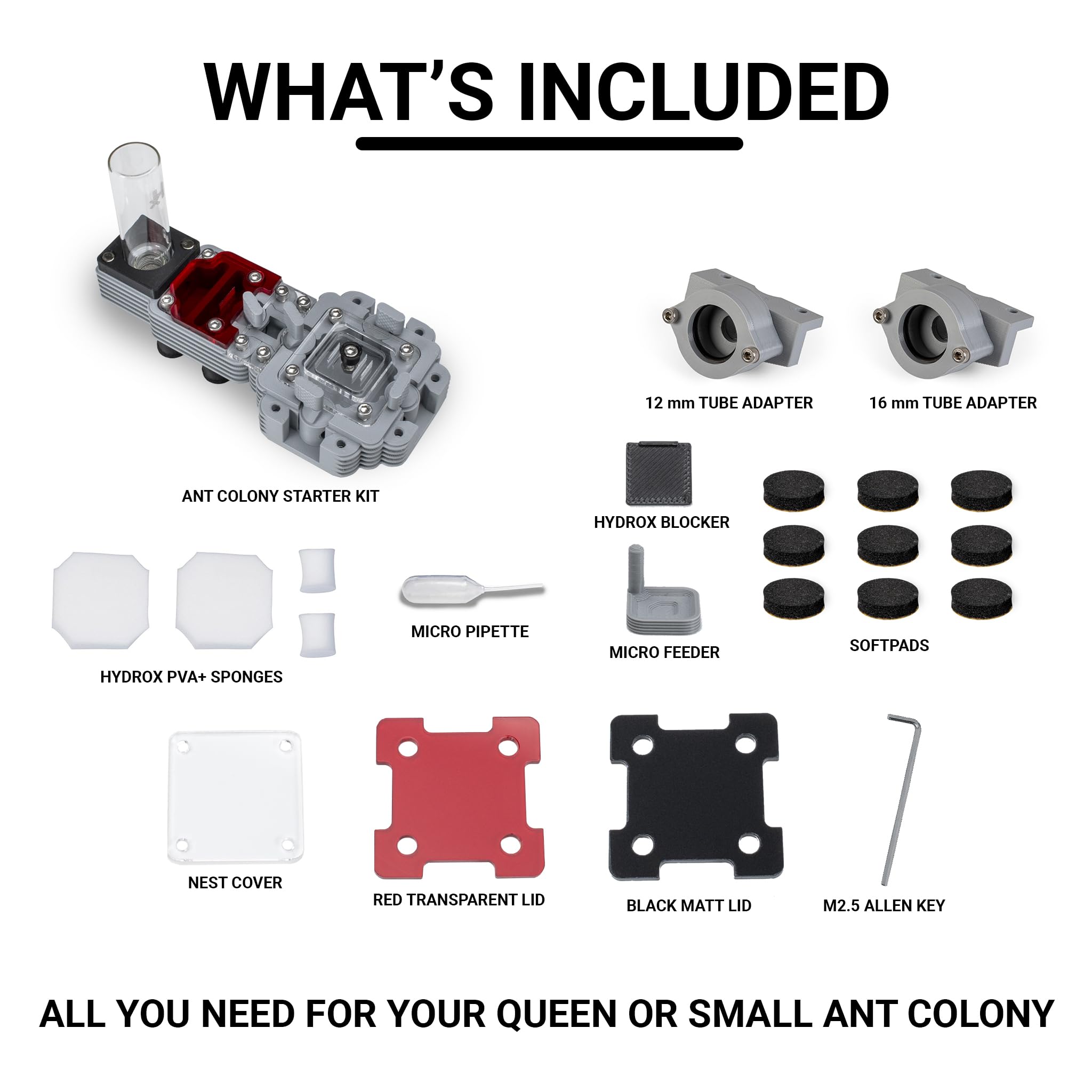 Kit Inicio de Colonia – Hormiguero Profesional para Reinas y colonias pequeñas – Nido Modular de Granja de Hormigas (Gris – Especies pequeñas)