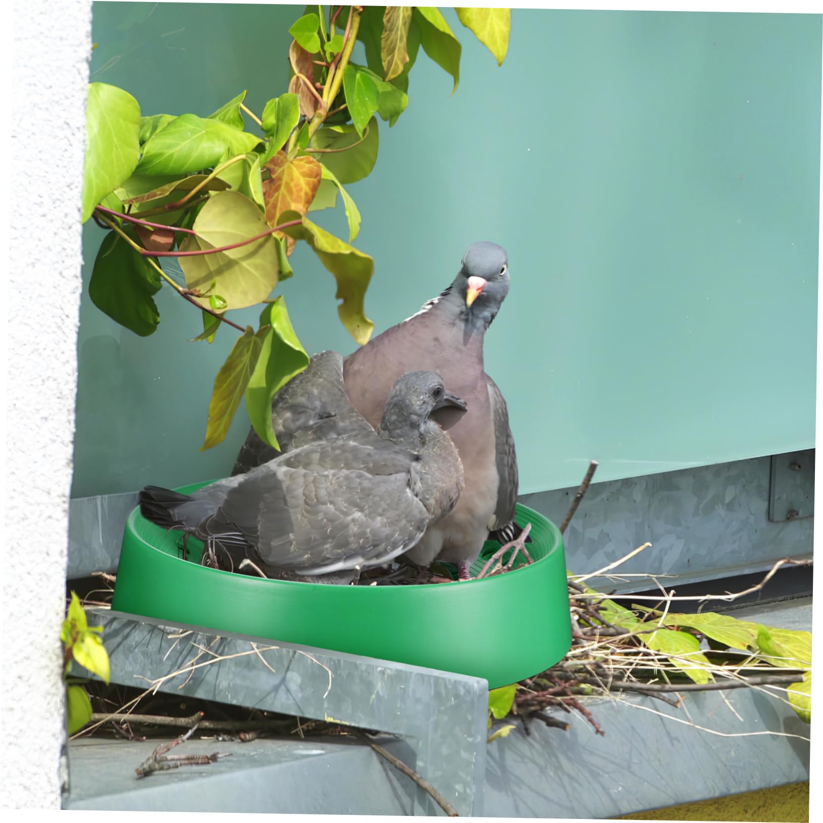 Mipcase 10 Piezas Jaula para Codornices Nido De Cría De Aves Caja Nido para Incubar Cama De Descanso para Mascotas Nido De Pollo Nido De Gorrión Forro De Jaula De Pájaros Loro Cola Larga