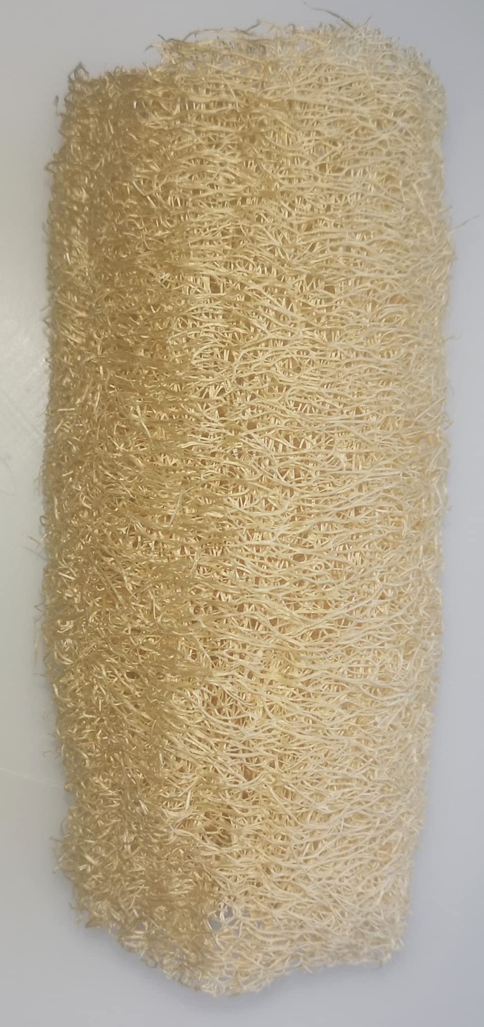 25 Semences de Luffa, éponge végétale - 25 graines de luffa BIO