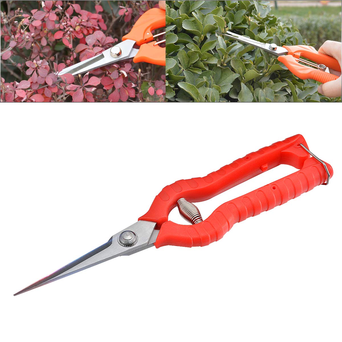 Juego De Herramientas De Tijeras De Podar De Primavera para Jardín, Tijeras De Podar De Herramientas De Jardín De Plástico Abs Y Acero Inoxidable [Rojo 65 Mm]