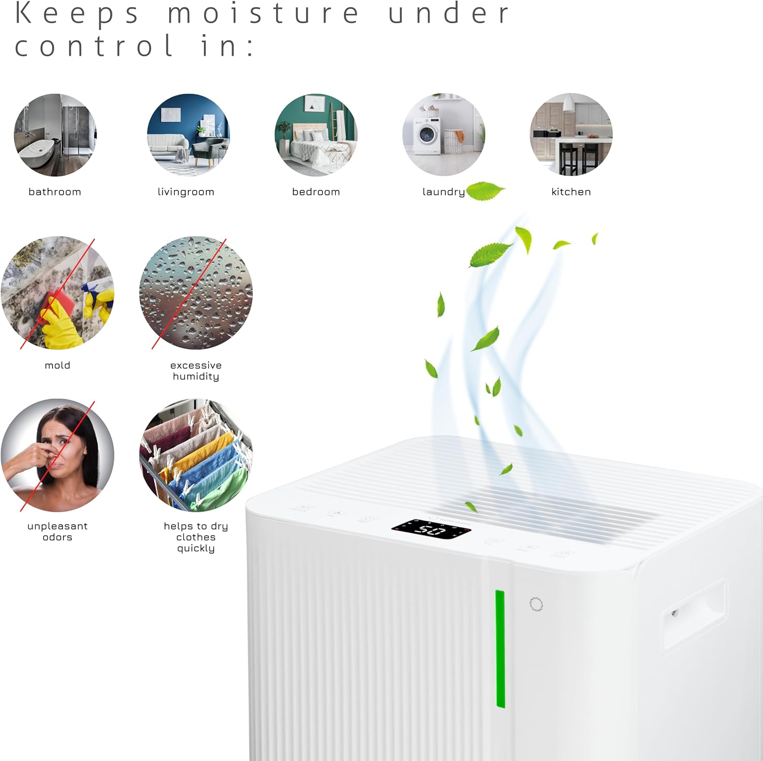 Foto del Deshumidificador