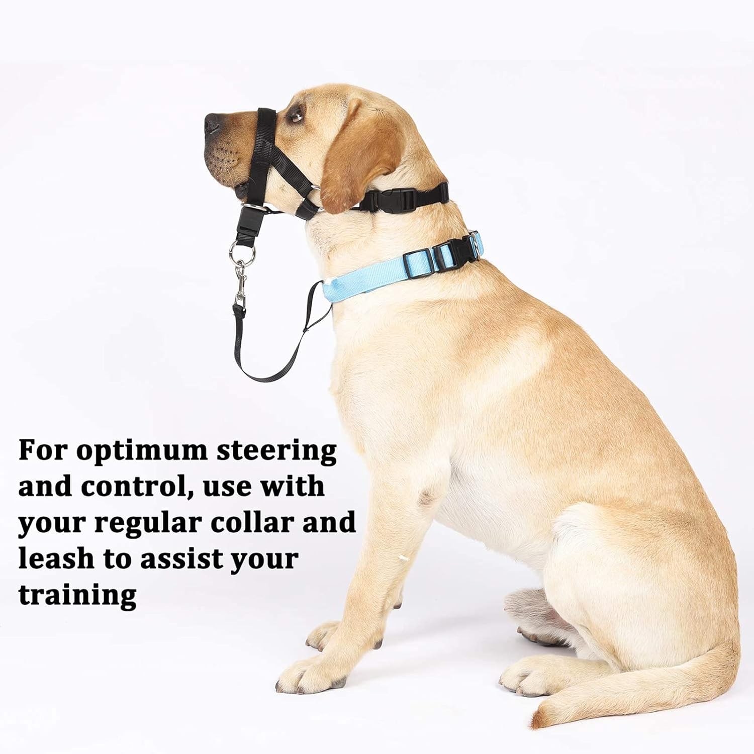 Dog Head Collar, No Pull Training Tool for Dogs On Walks, Soft Padding, 5 (s-XXL, Black) : Pet Supplies