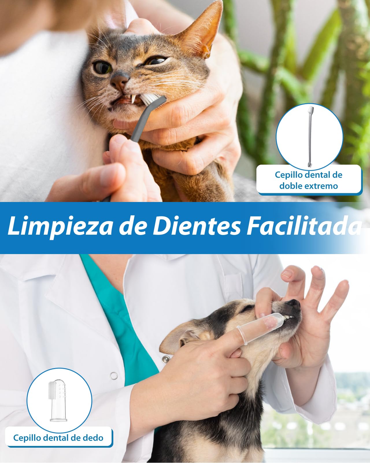 Kit de Limpieza de Sarro Dental Ultrasónico para Perros y Gatos, Detartrador Cepillos Ultrasónicos de Dientes Quita Manchas Limpiador, 5 Modos de Limpieza de Limpieza para Mascotas (Negro)