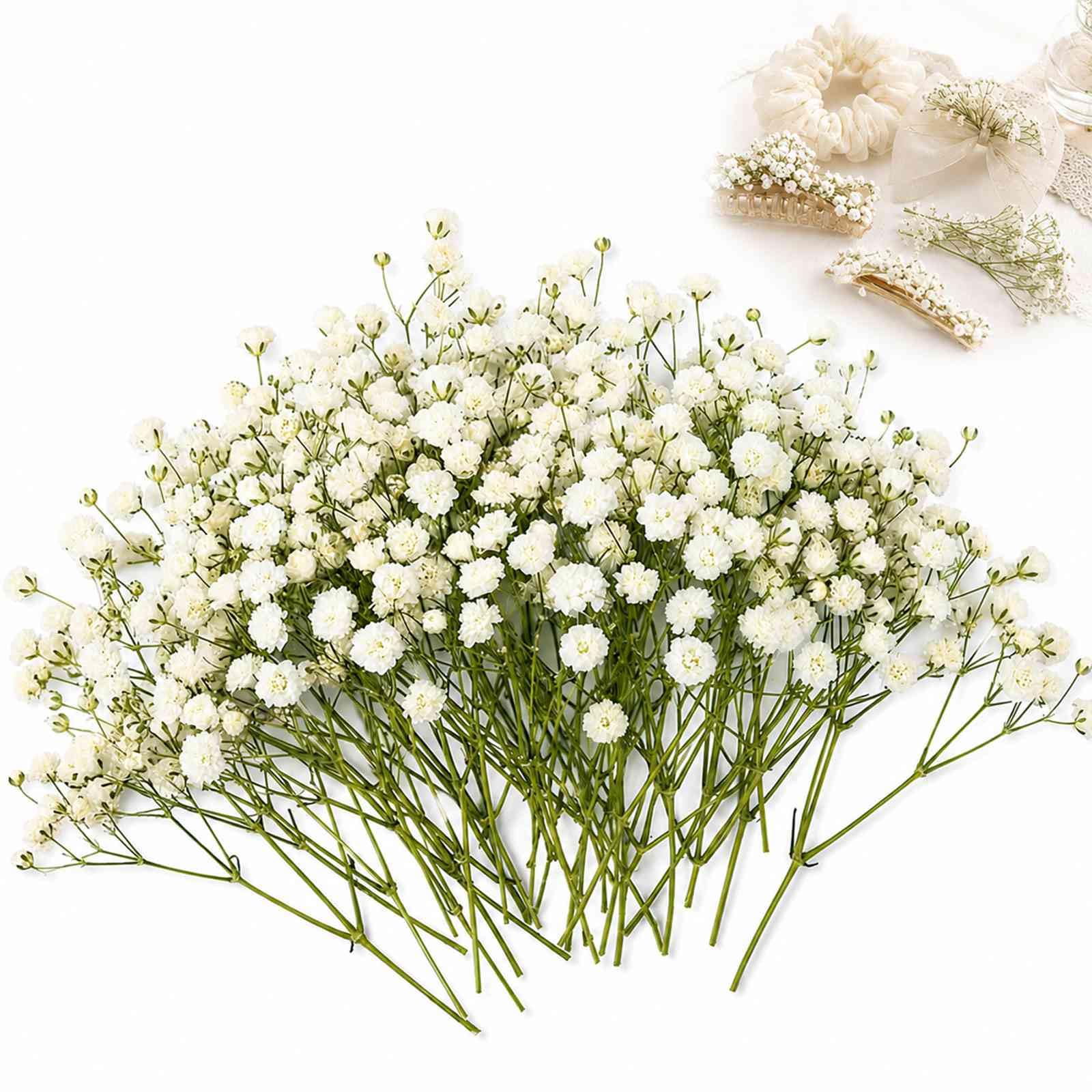 WHJYCC 100PCS Natural Dried Gypsophila Flowers for Resin Art and DIY Crafts - Preserved Gypsophila with Slender Stems in Protective Case, Ideal for Wedding, Home and Table Decorations (Green-White) — image 1