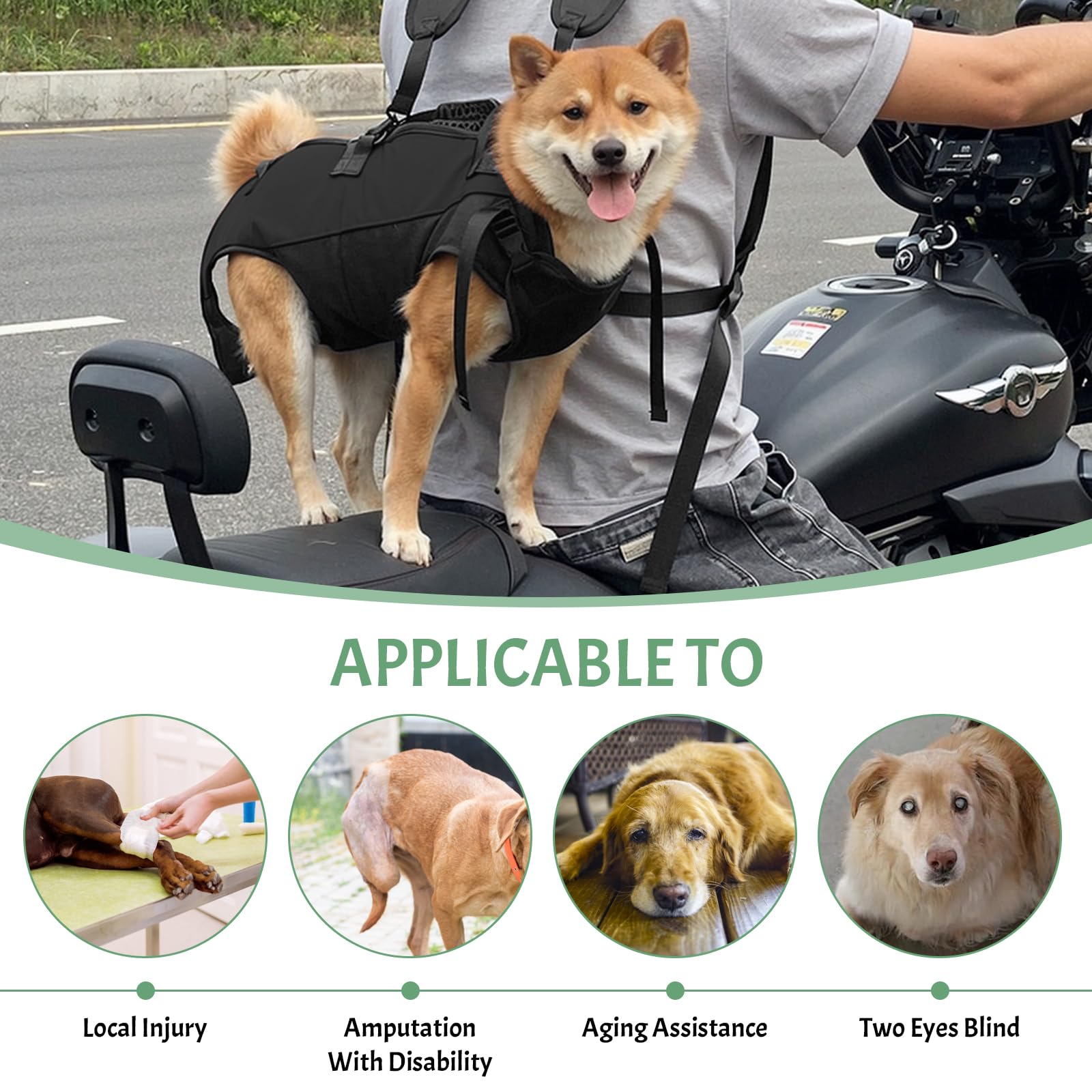 Harnais de Transport pour Chien, Sac à Dos d'urgence pour Chien, Sangle de Transport avec Poignée pour Chiens Âgé, Aide-escalier pour Chiens Handicapés Blessés (L)