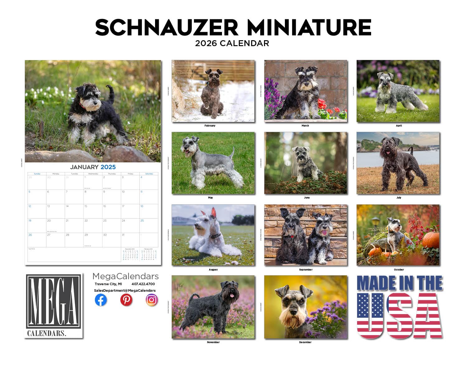 Calendario 2024 2025 Schnauzer in miniatura, calendario mensile da parete con razza di cane, 30,5 x 45,7 cm, aperto, carta spessa senza sbavature, idea regalo, calendario per insegnanti accademici,