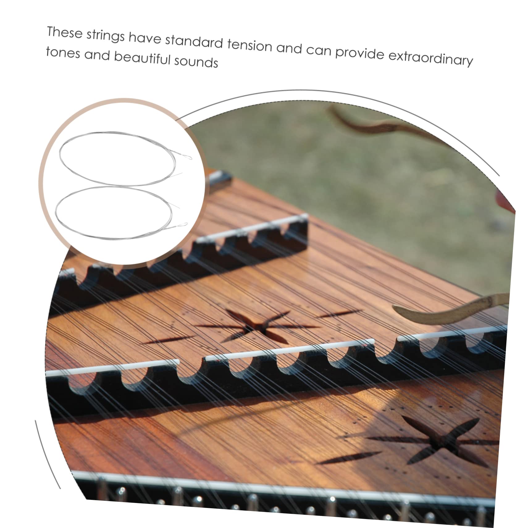 ibasenice 2Pcs String Dulcimer Strings Replacement Steel Wire for Instrument Accessories Easy to Use Dulcimer Parts for Enhanced Sound and Resonance for Music Enthusiasts