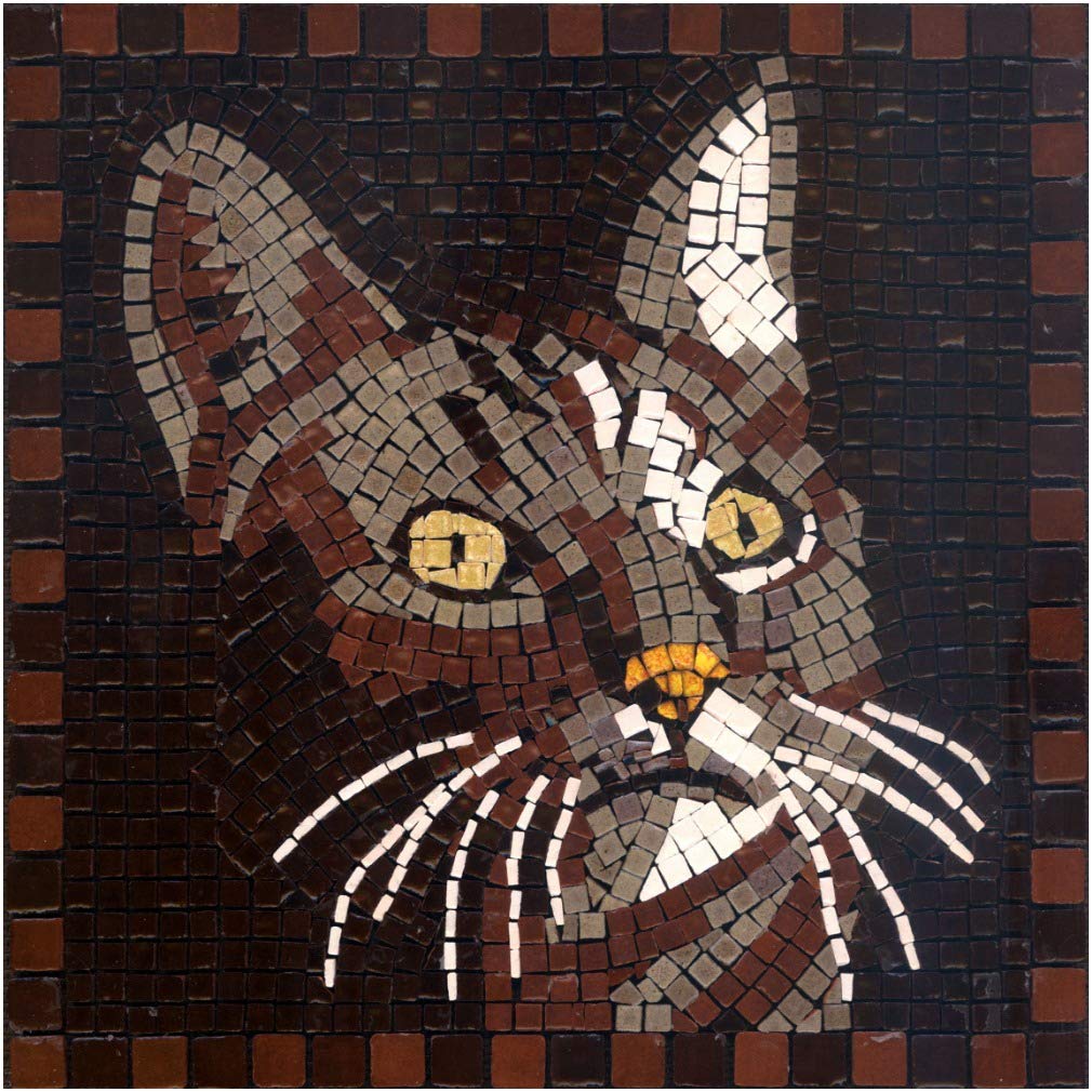 Diy Mosaic Art Kit Square 7inch 20cm Cat Buy Online In Germany At Desertcart 64258133
