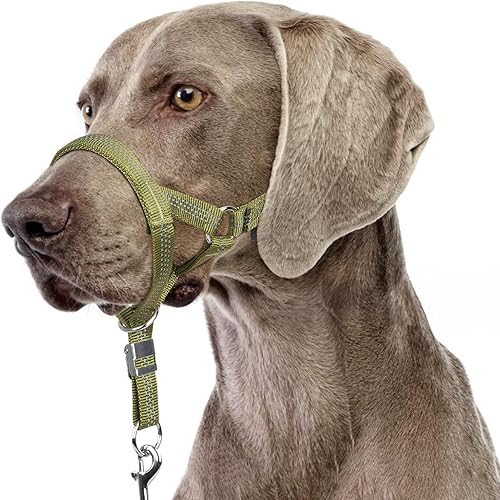 Miniatura 17 de BARKLESS Collar resistente sin tirones para perros medianos y grandes, suave y reflectante con enlace de seguridad, correa de bozal de entrenamiento