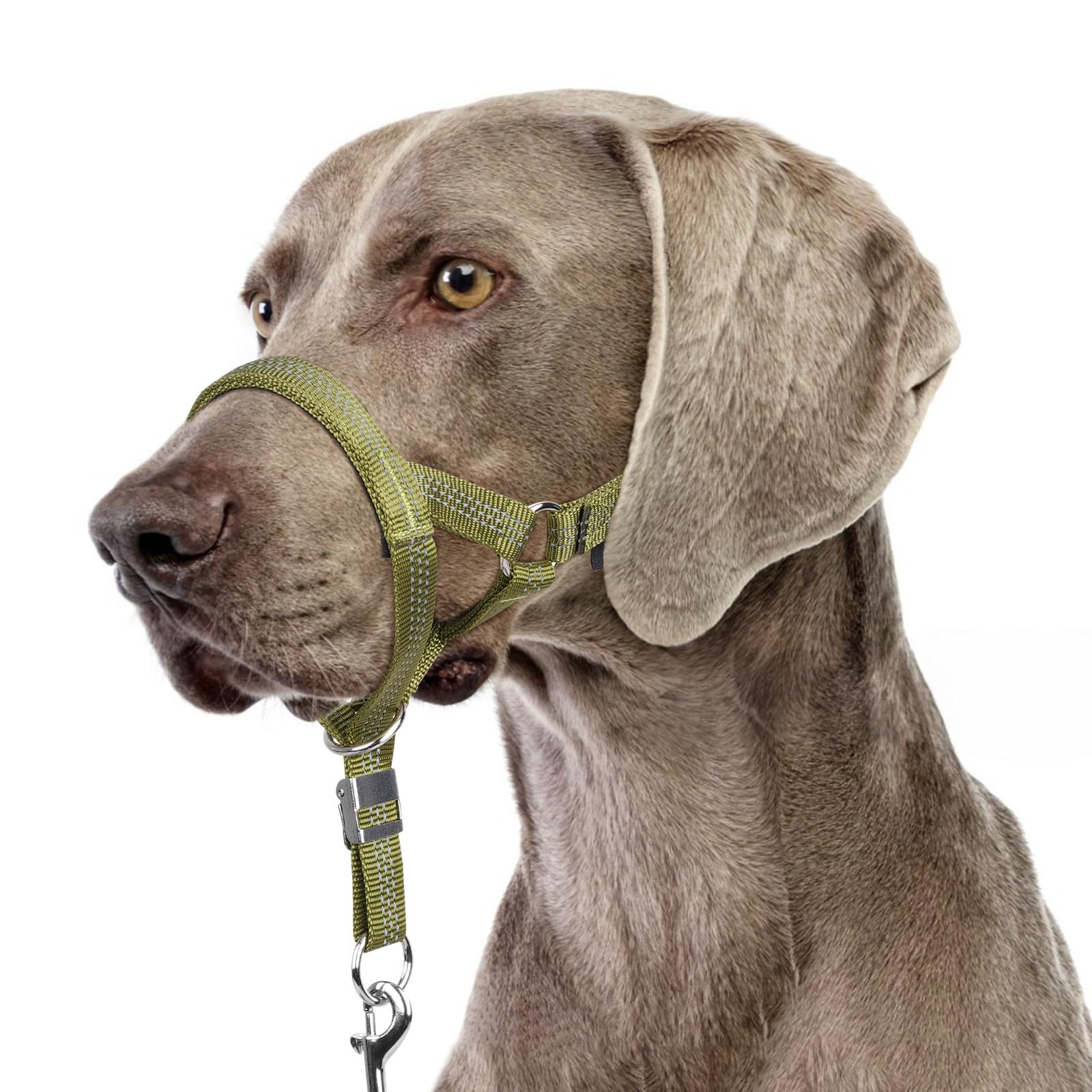 BARKLESS Sturdy No Pull Head Collar for Medium Large Dogs, Gentle Reflective Head Halter with Safety Link, Adjustable Nylon Dog Training Muzzle Leash for Walking Control (Green, L)