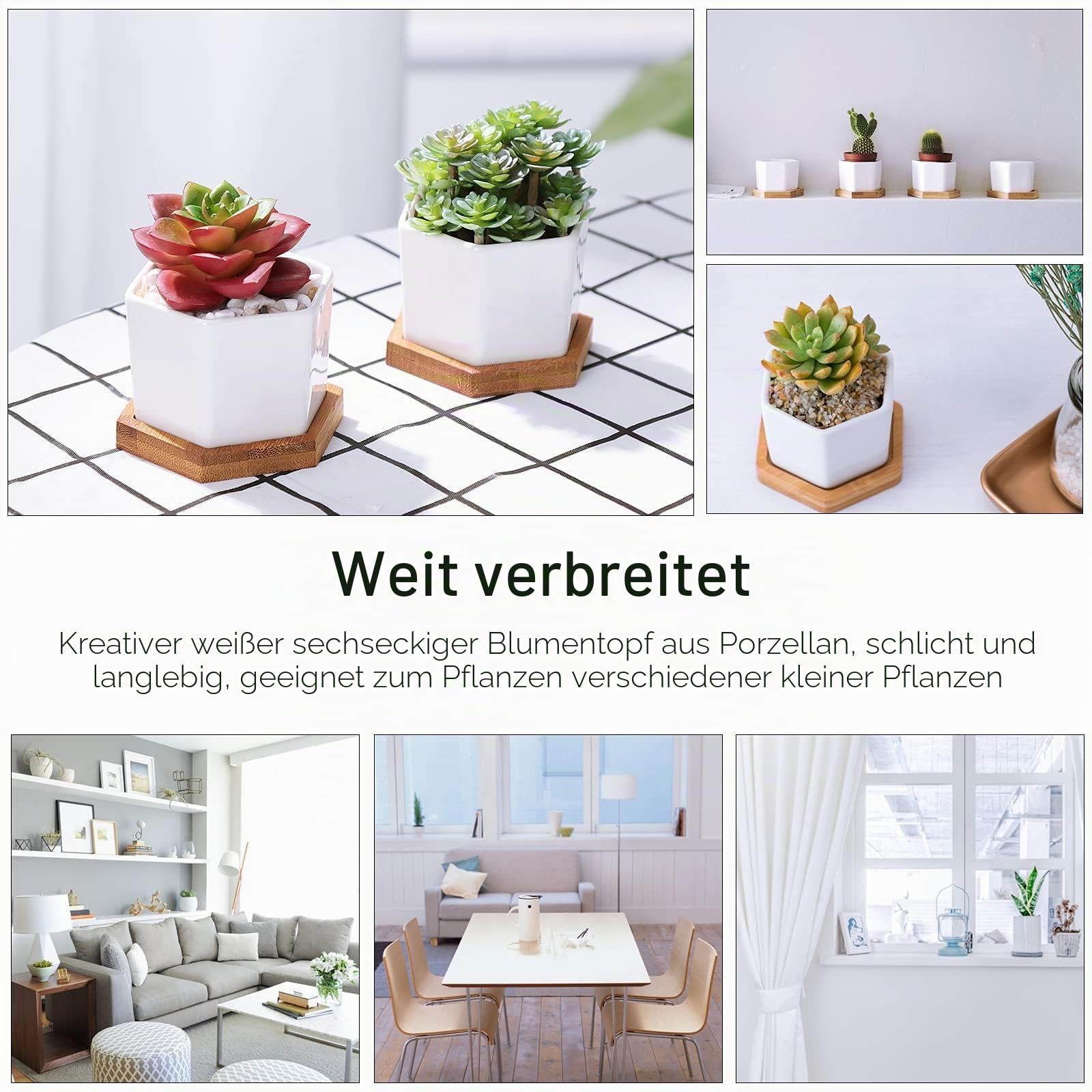 Fippy 7cm Klein Keramik Blumentopf Weiß Sukkulenten topf Mini Blumentopf mit Untersetzer, Perfect für Home Office Balkon Dekor, 6er Set Garten