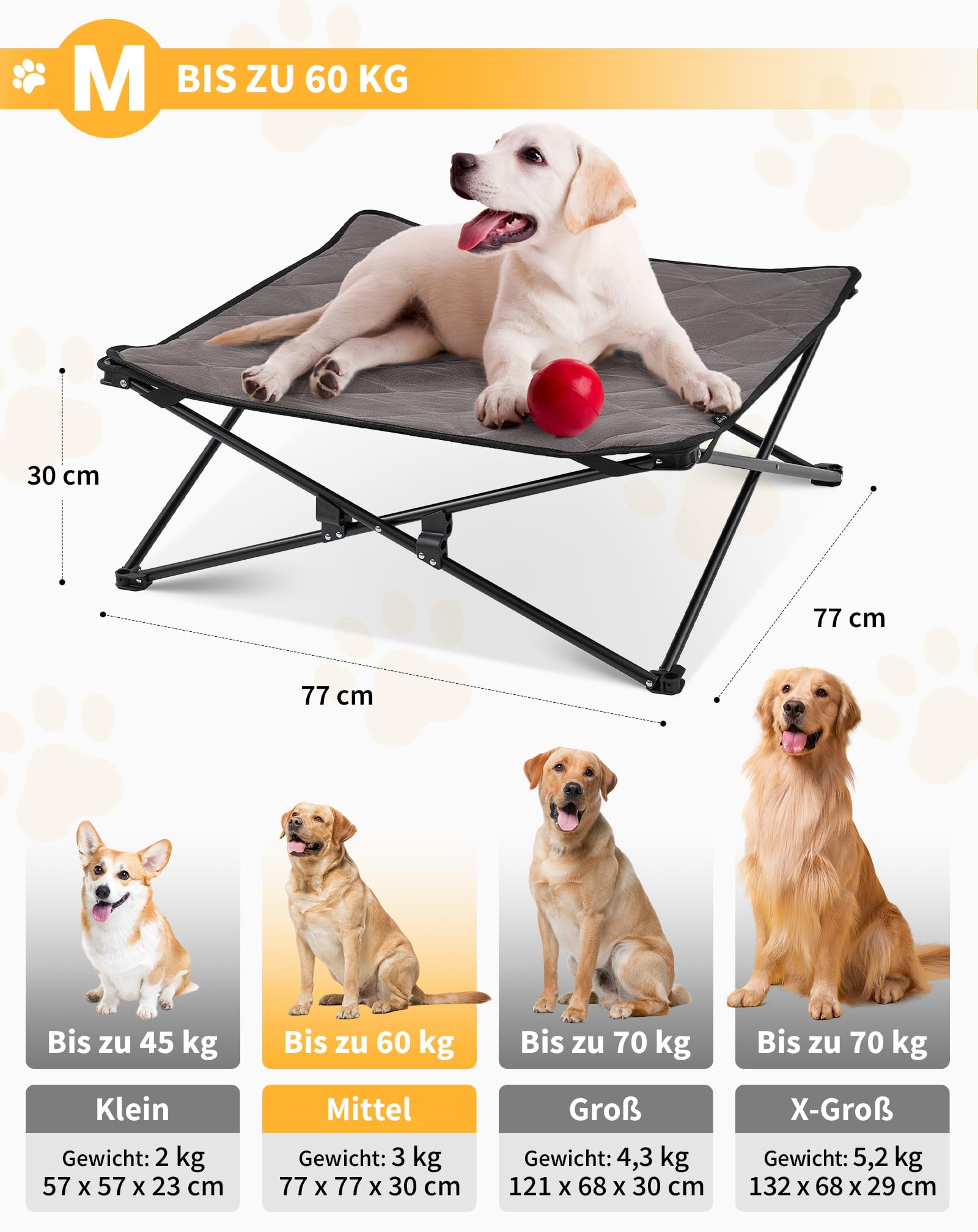 Ipixune Erhöhtes Hundebett L (109x58 Cm) – Faltbar, Atmungsaktiv & Rutschfest Für Innen/Outdoor
