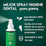 Ver la foto 2