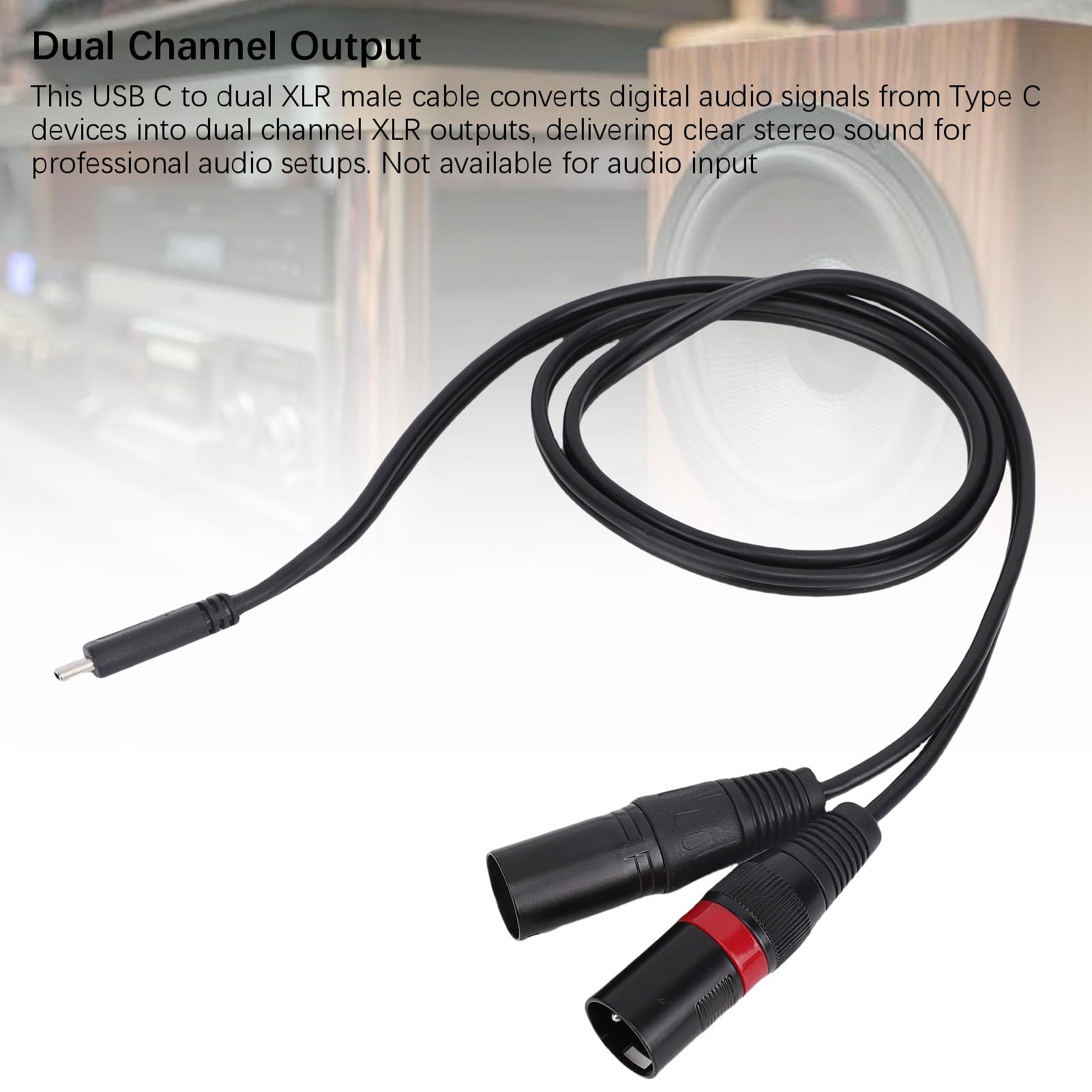 Jectse Kabel Męski USB C do XLR, 6,6 Stóp Y Dual XLR Męski Przewód dla Telefonów, Tabletek, Laptopów do Mikserów, Wzmacniaczy, Aktywnych Głośników