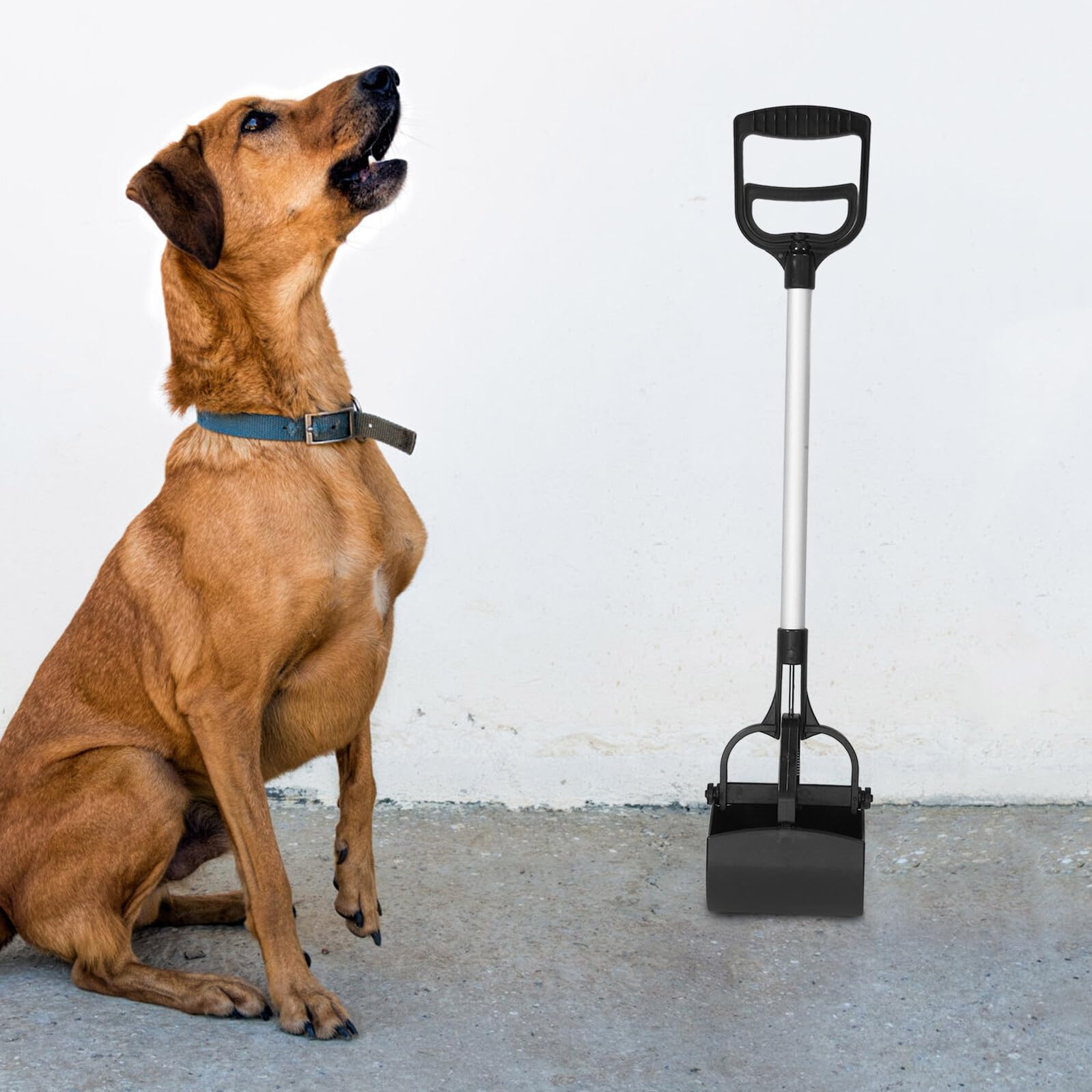 SUPVOX Ramasse-crottes Poignée Longue en Plastique Facile à Transporter Portable Couleur Aléatoire pour Chien pour Déchets d'animaux en Extérieur