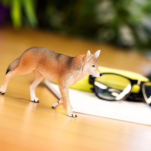 Miniatura 6 de Safari Ltd. Figura de juguete Coyote – Figura detallada de plástico de 6.5 pulgadas – Divertido juguete educativo para niños, niñas y niños a partir