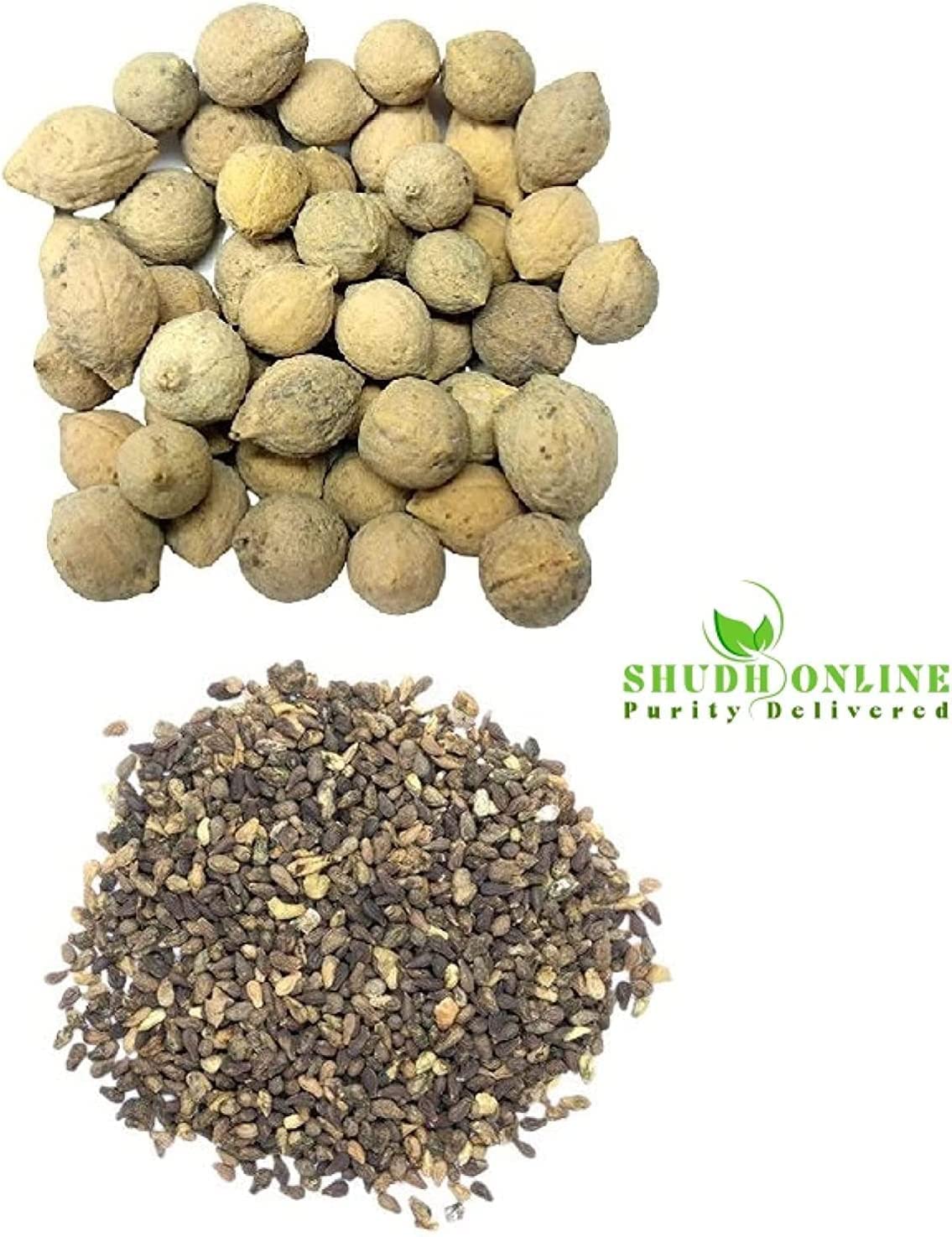 Shudh Online Sivalingi und Putrajivak Samenpulver (je 100 g), Putrajeevak und Shivlingi Beej Pulver, Putrijivak, Putr Jivak, Shivalinga, Shivling