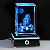 Qianwei 3D Crystal Owl Figurines & Gifts for Owl Lovers - Home Decorations, Keepsake & Paperweight