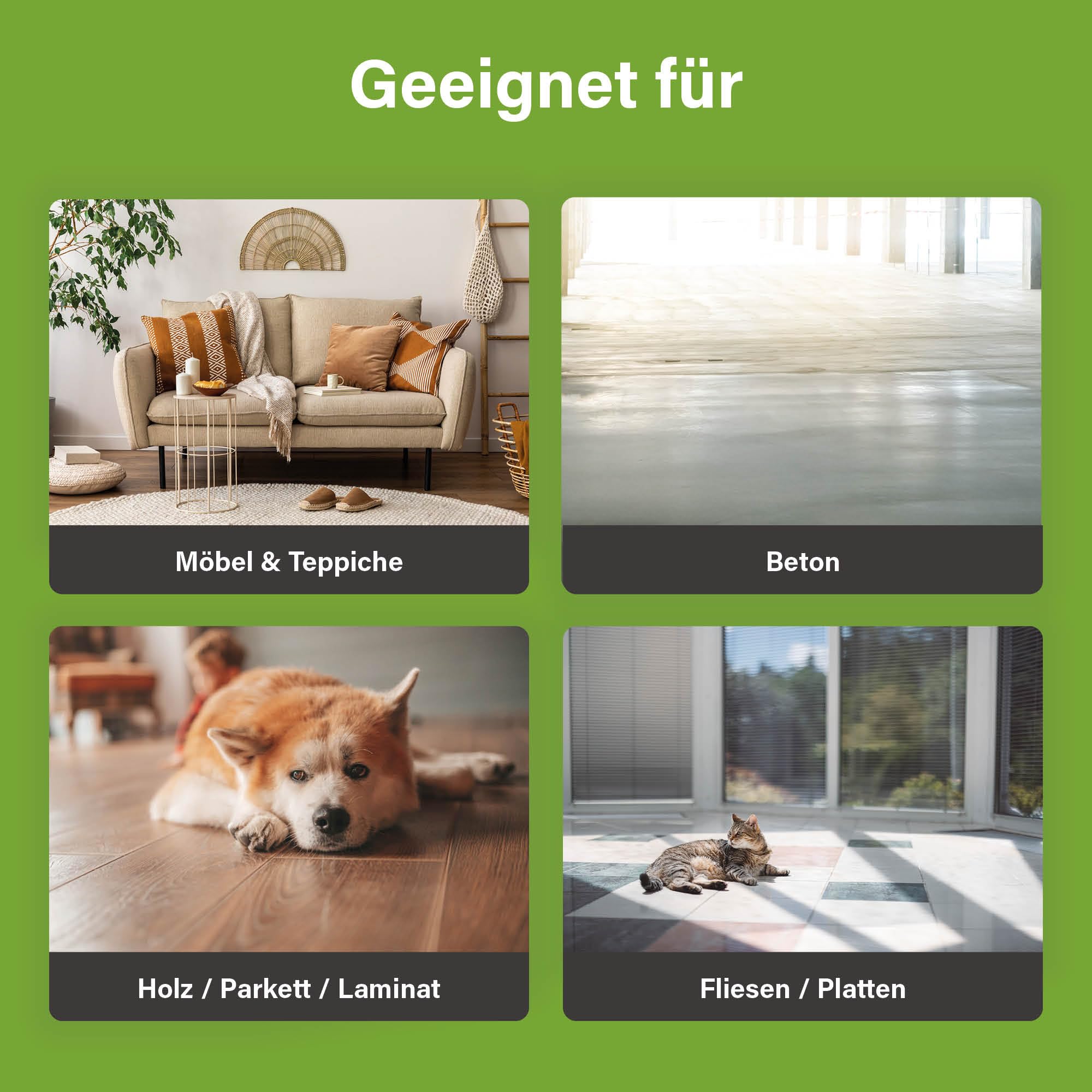 UF2000 4Pets Uringeruch Entferner 2500ml | 100% Biologischer Urin-Geruchsentferner für Katzen und Hunde Uringeruch | Parfümfrei, Effektiv für Haustiere | Konzentrat 1 aus 5 Nachfüllpackung
