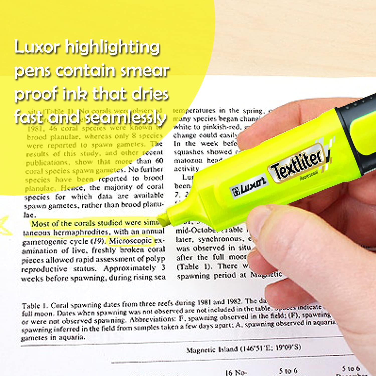 STABILO Swing Cool Highlighter – Colores Surtidos Cartera De 8 – Yaxa