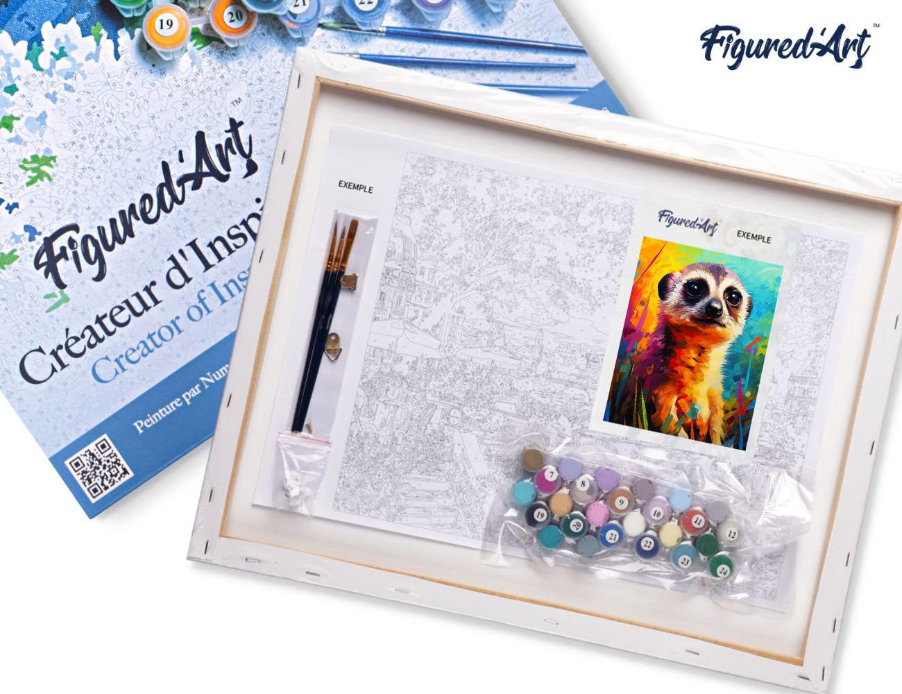 Figured'Art Peinture par Numéro Adulte avec Cadre Suricate Coloré Abstrait - Activité Manuelle Kit de Loisir Créatif DIY Numéro d'Art Complet Animaux - 40x50cm toile tendue sur châssis