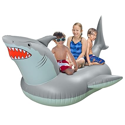 swimming pool float