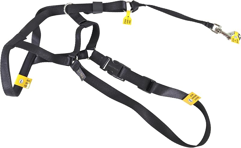 Pet Walk 'n Train Dog Head Halter - Head Colllar Dog Leader - No-Pull Pet Harness - Quick-Drying Polyester - Black - Medium