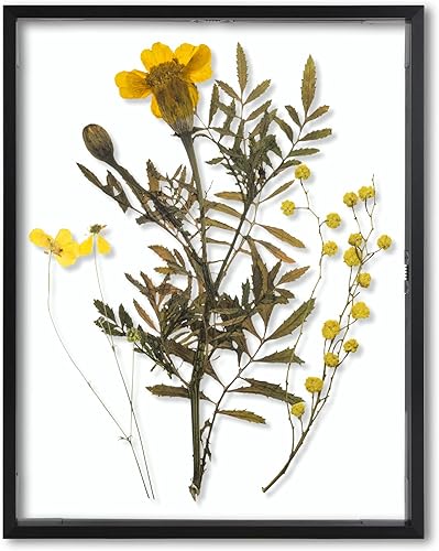 Vista 16 de Frametory, Marco de fotos flotante de 8 x 10 pulgadas, marco de fotos de metal de aluminio negro, cristal real de la parte delantera, para pantallas