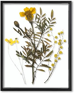 Frametory, Floating Picture Frame 11x14