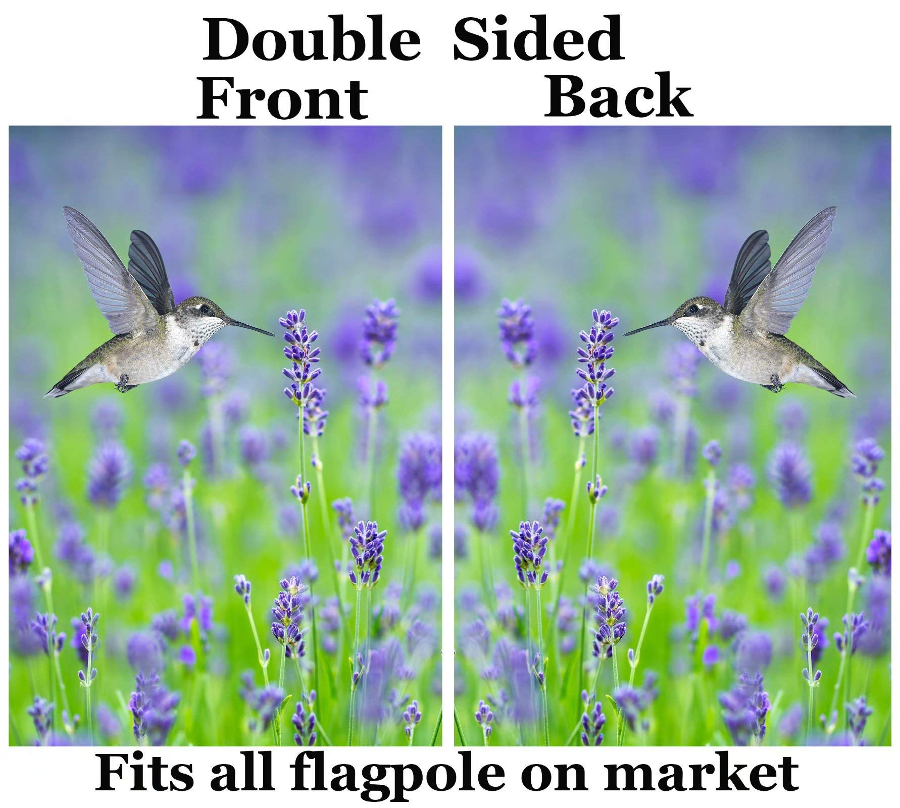 Amazon.com : Pickako Tropical Summer Spring Hummingbird Bird