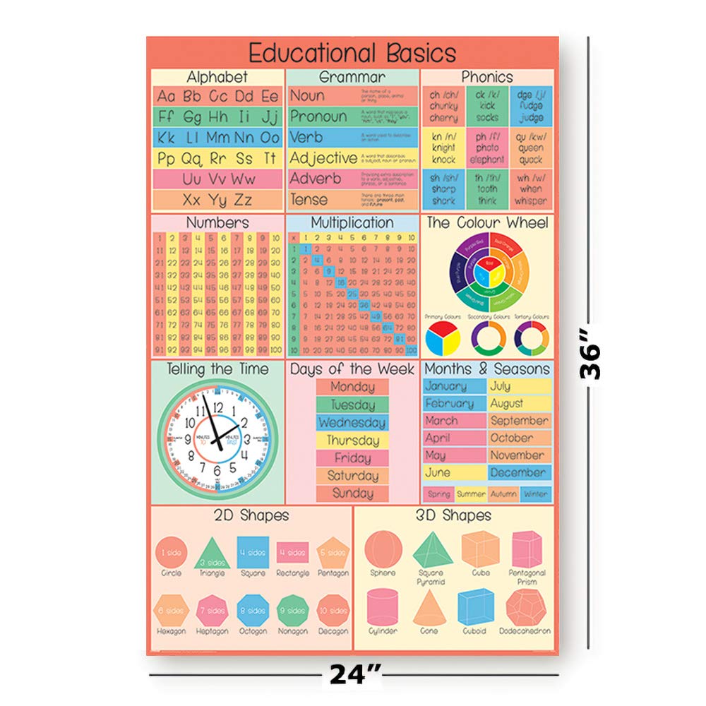 Amazon.com: POSTER STOP ONLINE Educational Basics - Educational