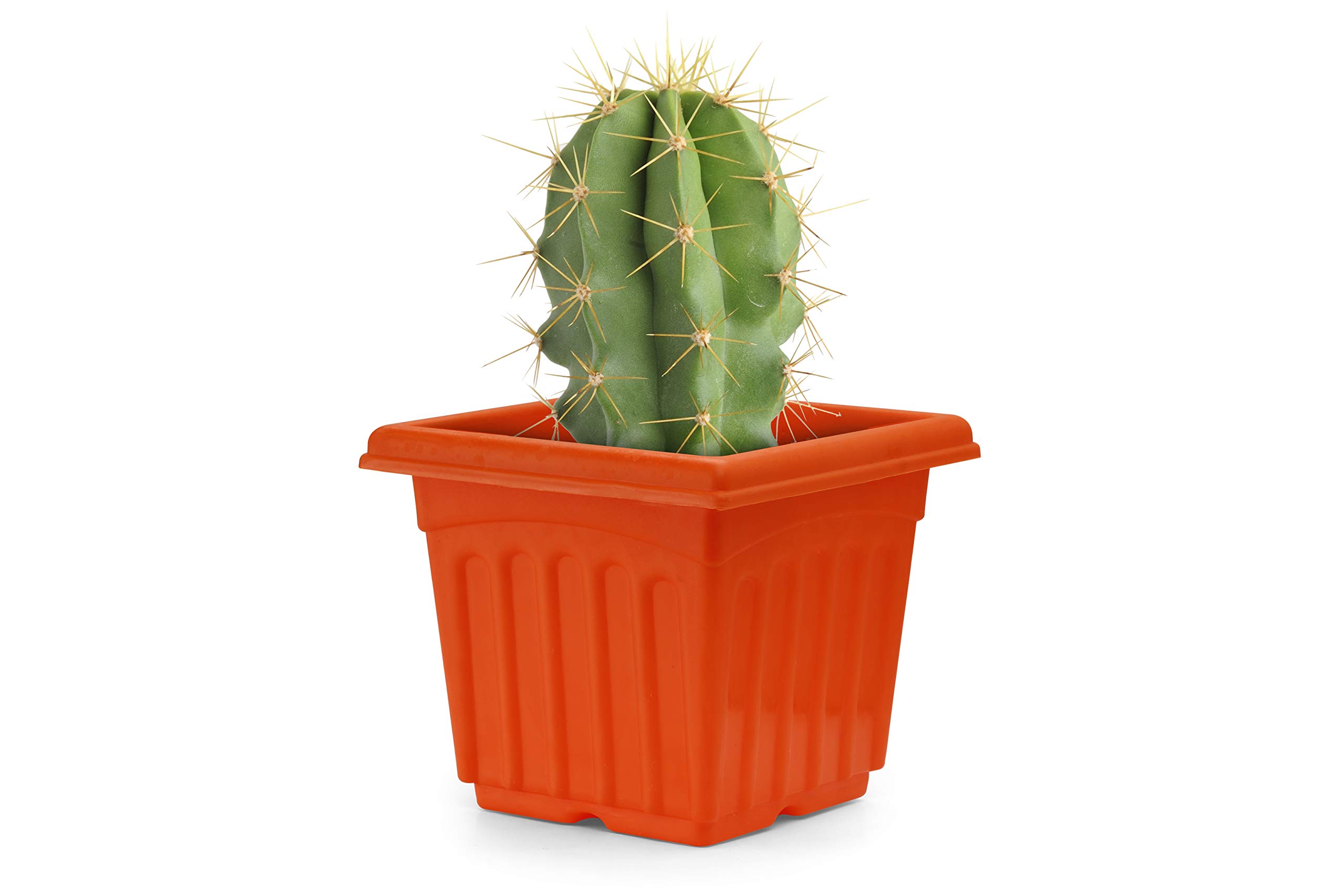 GARDENS NEED Orange Plastic Planters - Set of 8 -3