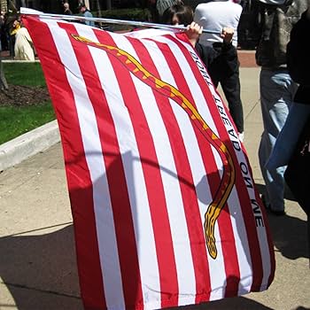 Amazon.com : Embroidered Dont Tread on Me 1st Navy Jack Flag 2x3