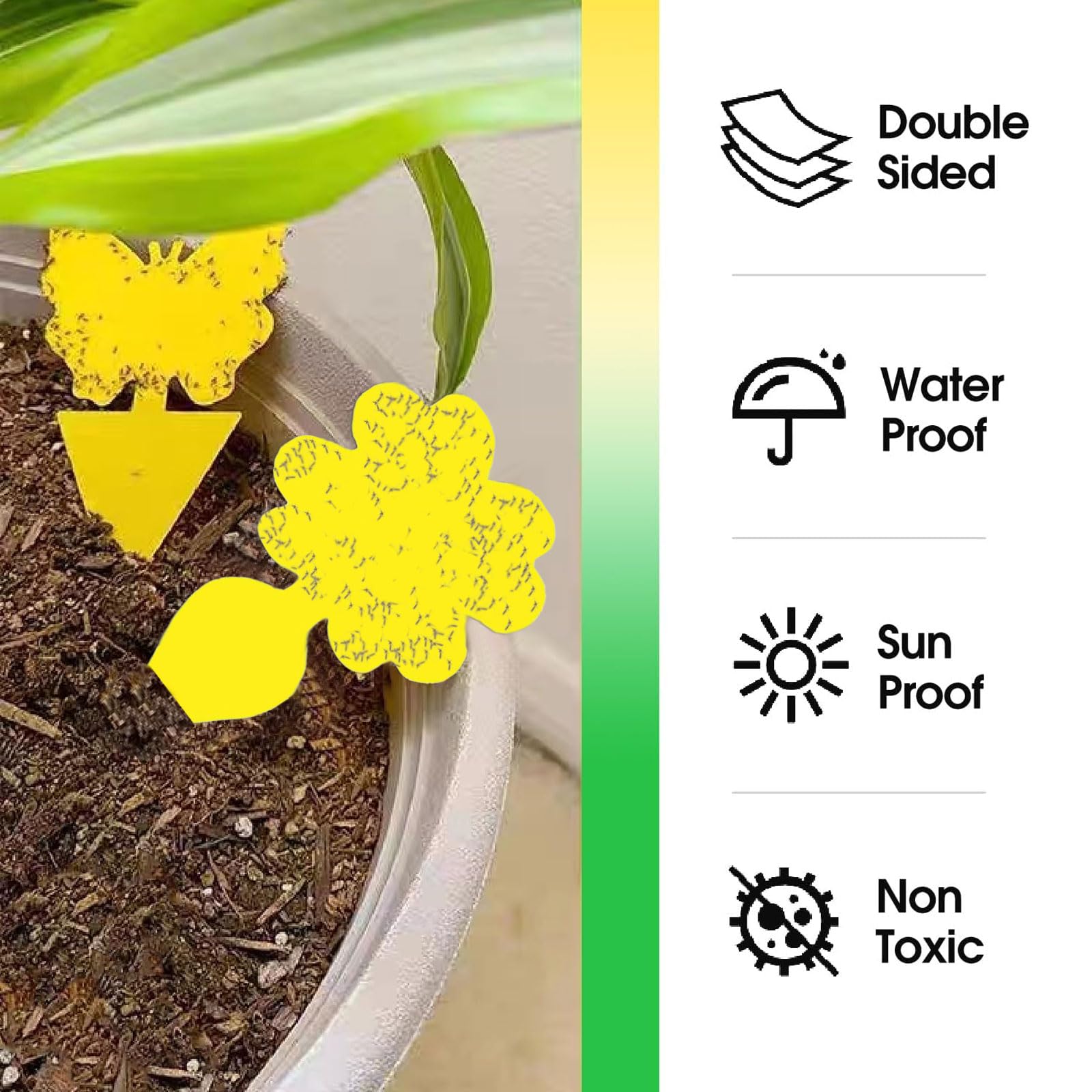 Fruit Fly Traps,Double-sided Fungus Gnat Sticky Catcher,for Greenhouses Orchards - Image 4