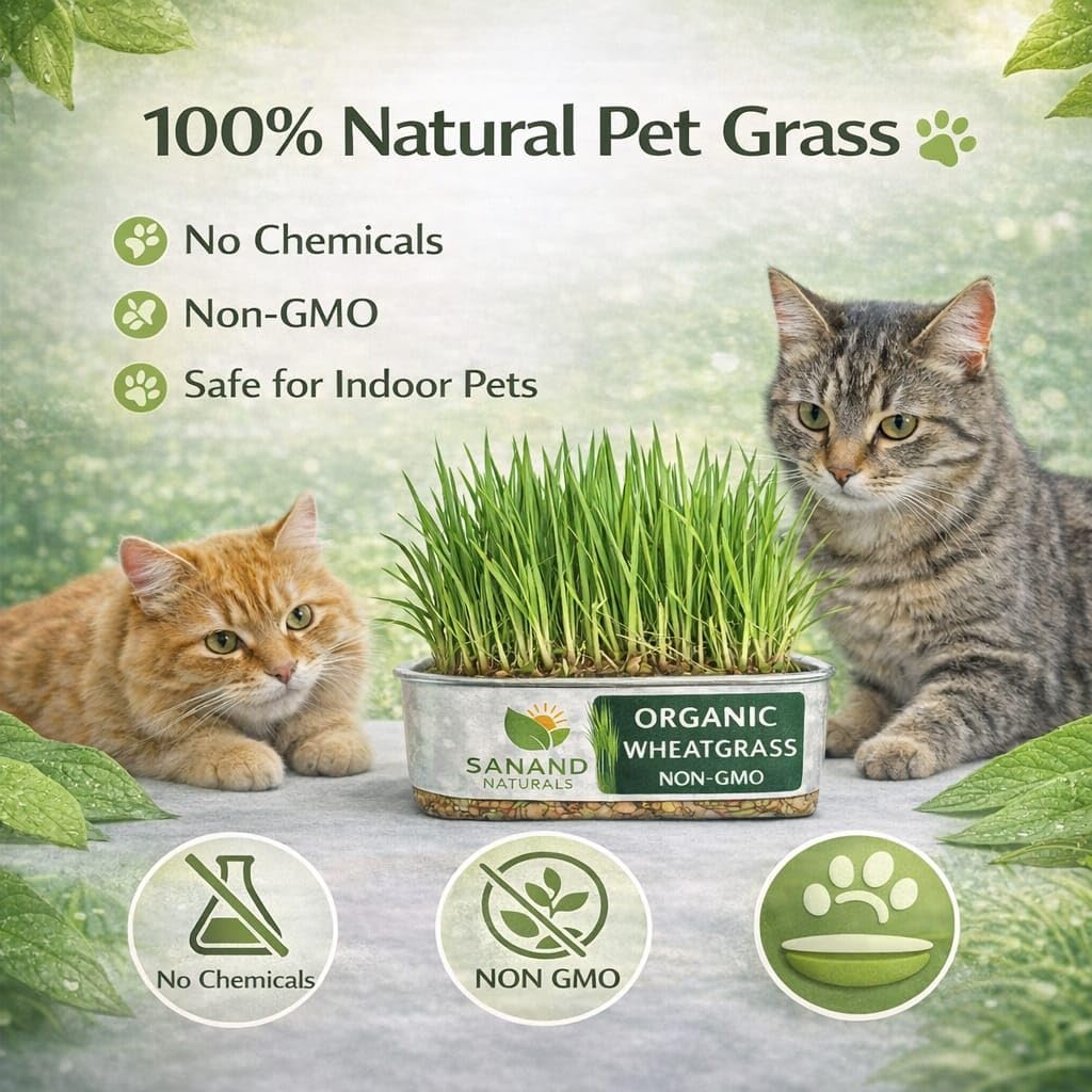 Fresh Pet Wheatgrass Tray for Cats and Dogs – Ready to Eat Cat Grass for Indoor Pets | Supports Natural Digestion & Hairball Control | Organic Non-GMO Green Treat — Amazon image 5