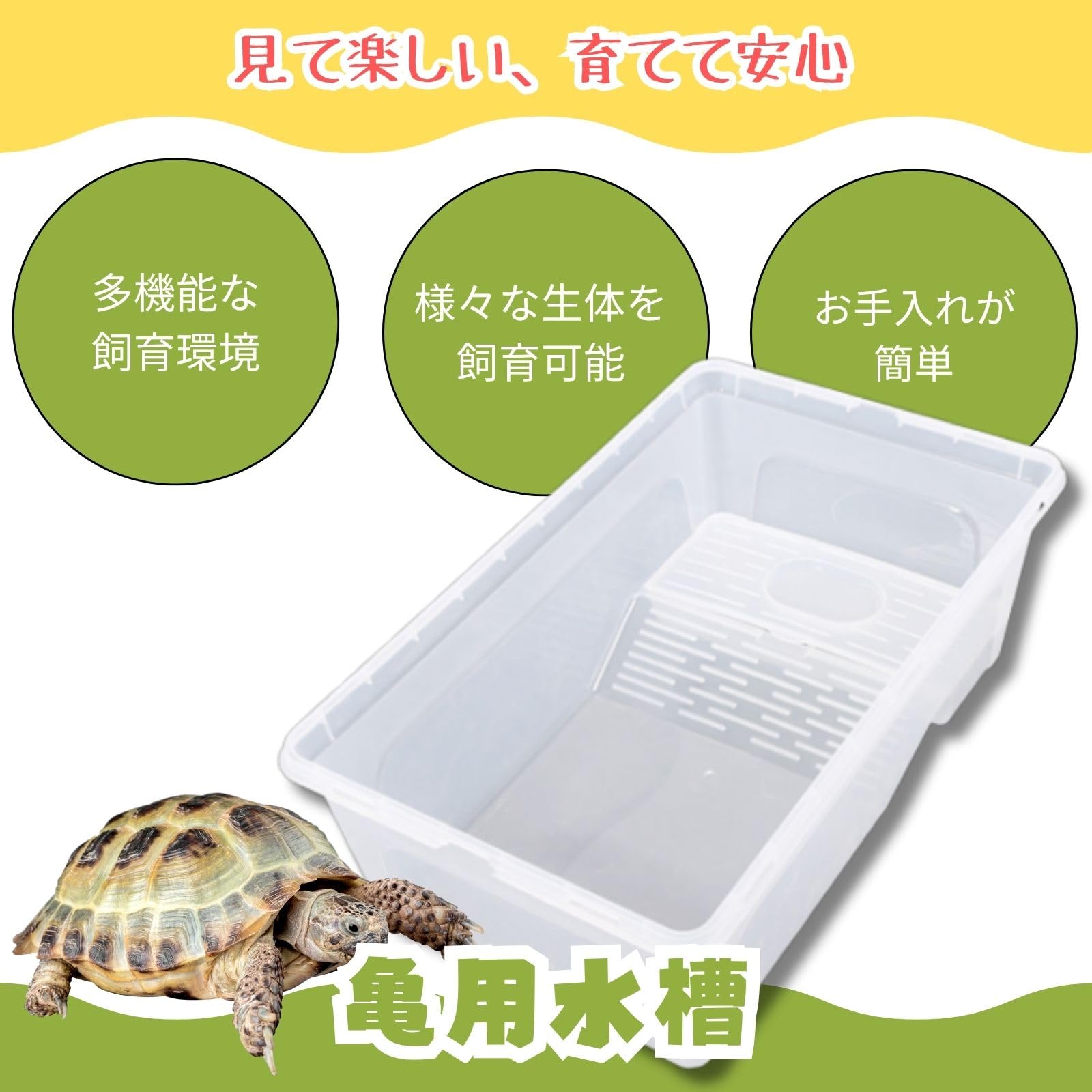 Amazon | All Trust 亀 水槽 カメ 飼育ケース 飼育セット ゲージ