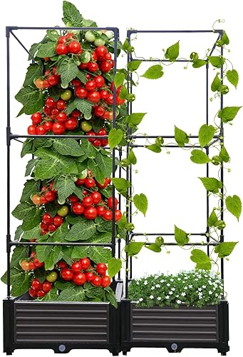 Retouhqp Macetero elevado para cama de jardín con enrejado para plantas trepadoras, maceta de tomate para verduras, flores de hierbas, jaula de
