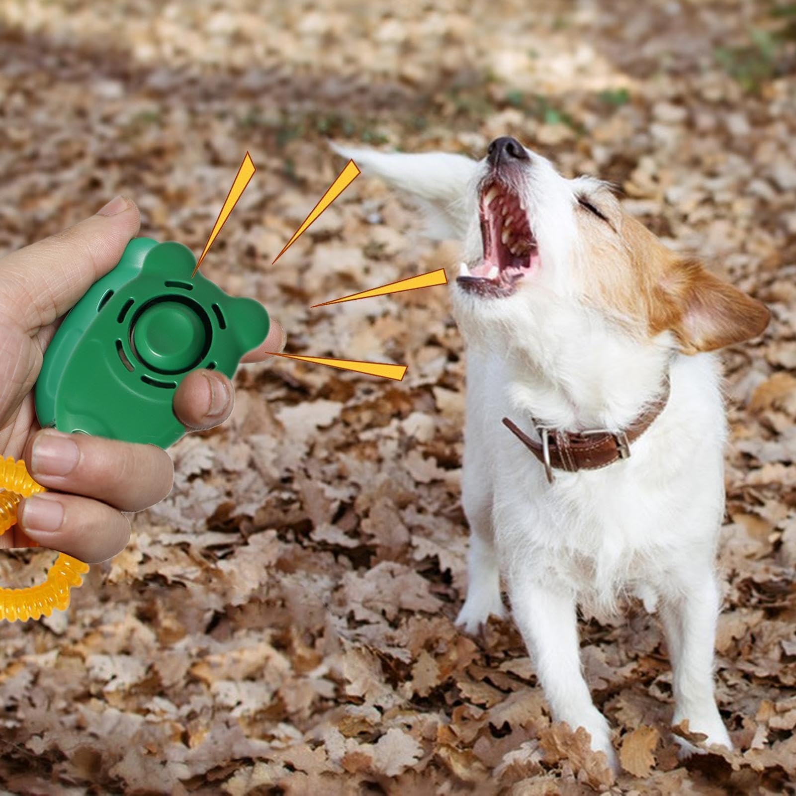 Hundetraining Clicker - Leichter Verhaltenstraining Clicker mit Handschlaufe für Hunde, Katzen, Vögel, Pferde - Haustierbedarf und Verhaltenshilfe