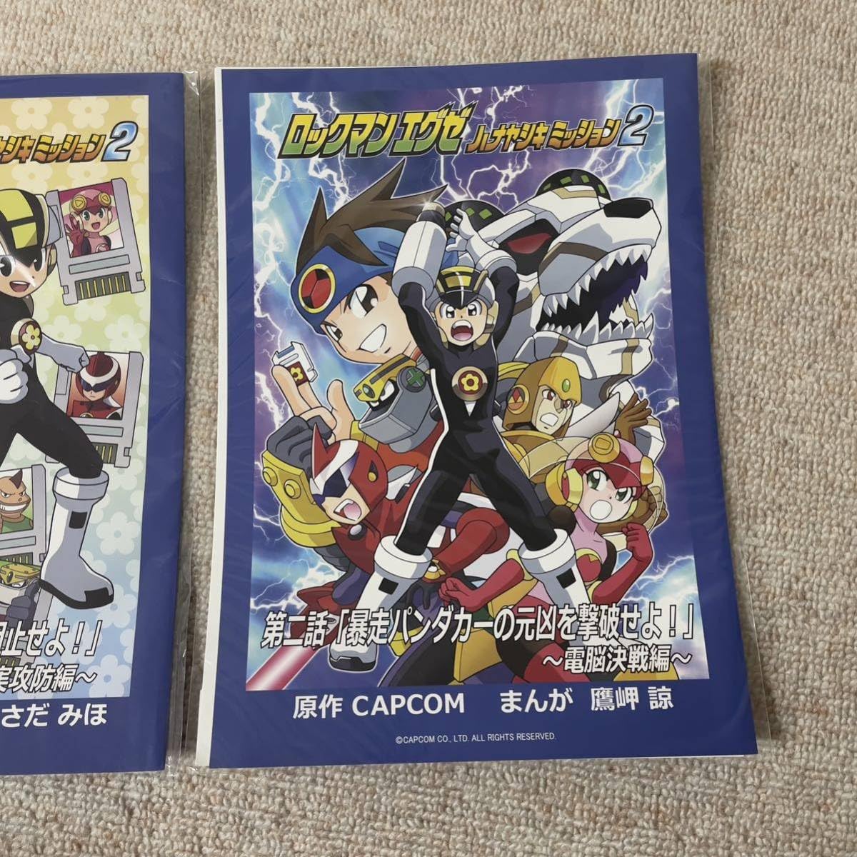 Amazon.co.jp: ロックマンエグゼ ハナヤシキミッション2 描き下ろし