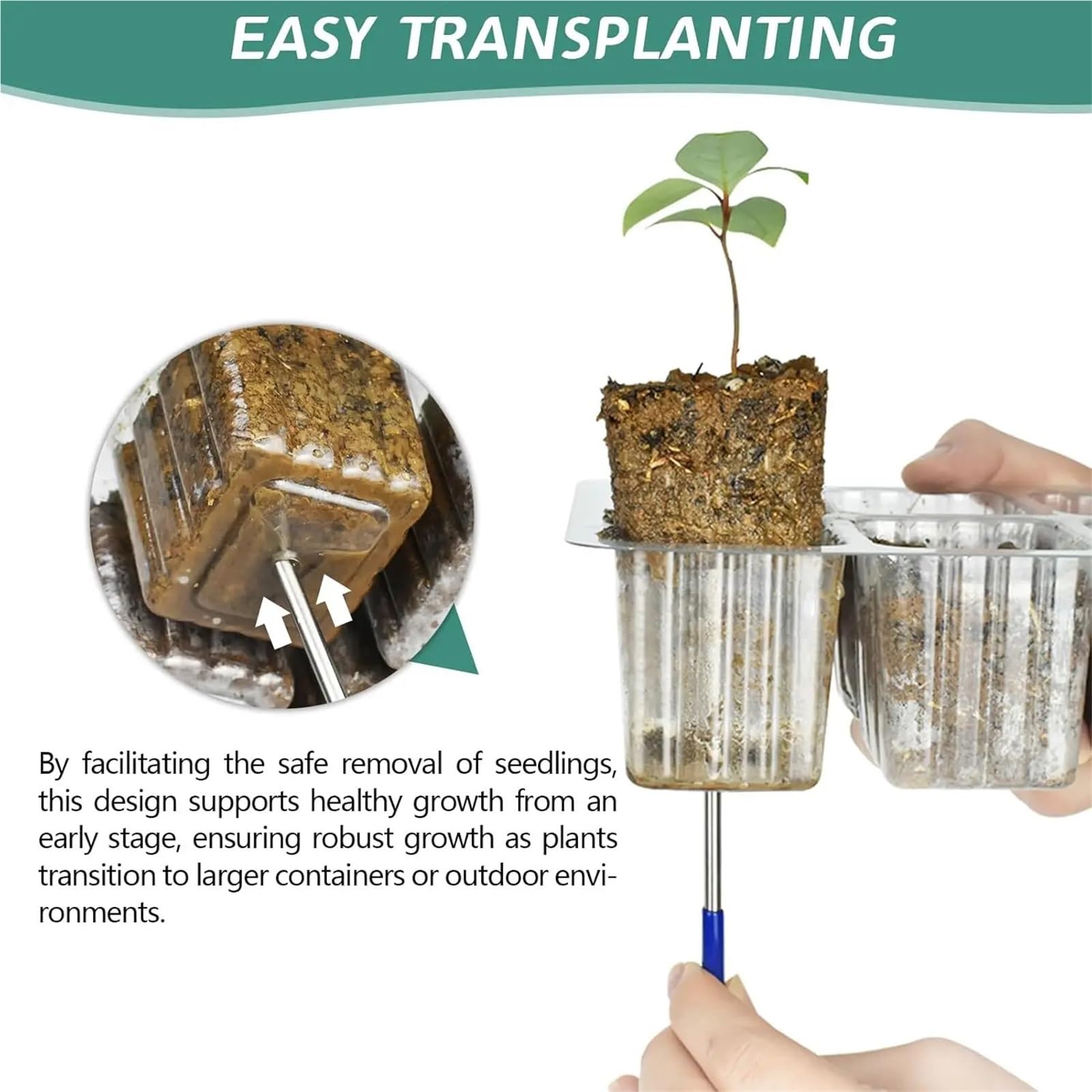 Anzuchtschale Saat-Starter-Tablett Erhöhte Setzling-Starter-Tablett-Kits mit einstellbaren Feuchtigkeitskuppeln und durchsichtiger Zellenschale für Pflanzen