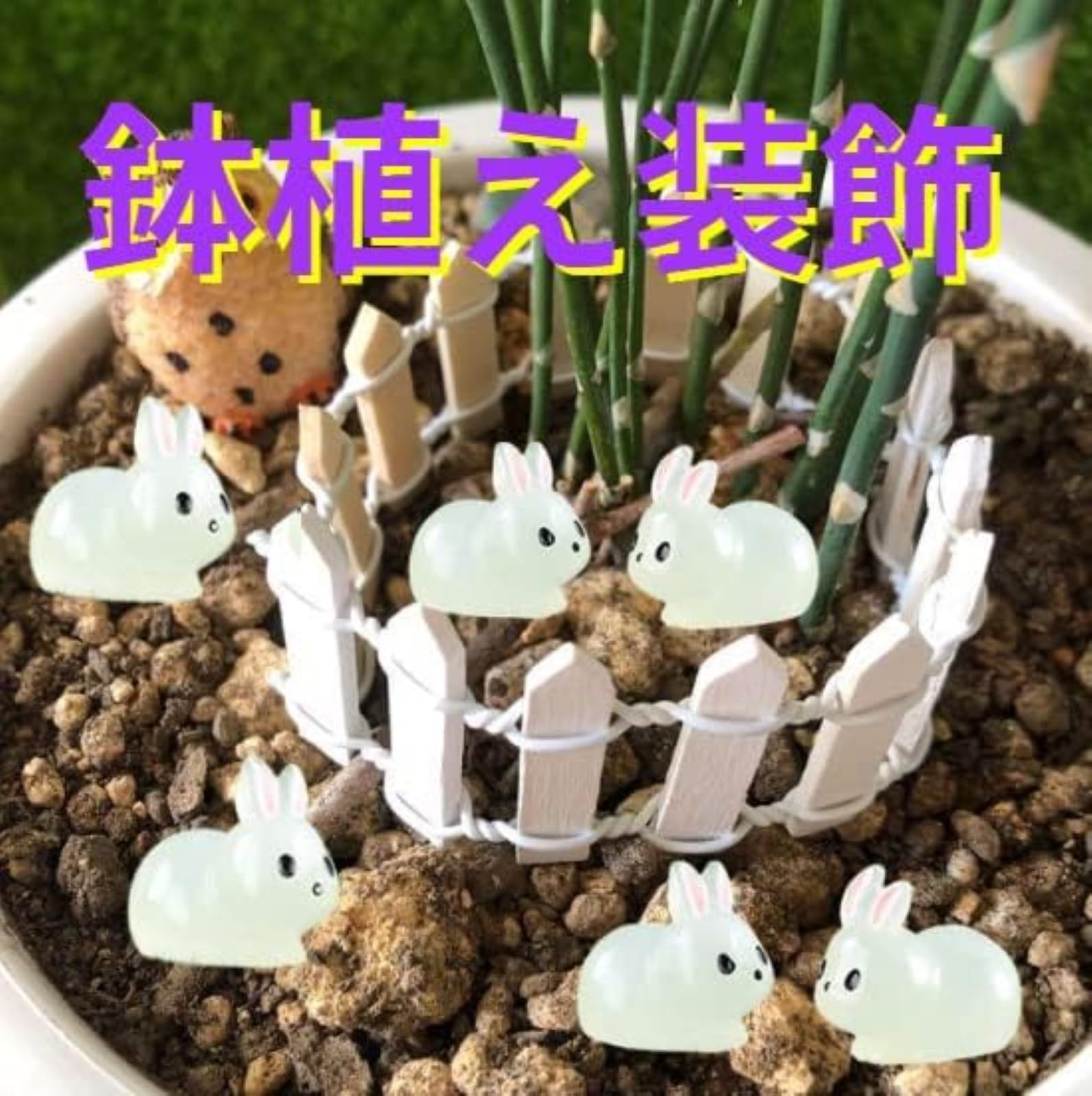 ウサギさんいっぱい❤️フィギュア❤️苔テラリウム ウサギさんいっぱい❤️フィギュア❤️苔テラリウム