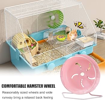 Rueda De Ejercicio Silenciosa Para Hámster Enano O Chinchilla - 21 Cm, Altura Ajustable, Pista Antideslizante De PP