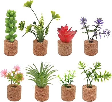 8 PCS Plant Fridge Magnets- Bring The Cute and Funny Half of The Plant Refrigerator Magnet to Your Fridge with These Adorable and Educational Fridge Magnets Plant Fridge Magnets